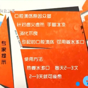 家政女皇20140108视频和笔记:吴大真讲口腔溃疡,姜水,萝卜藕汁
