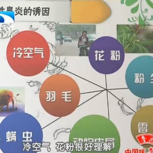 20140110饮食养生汇视频和笔记:王向东讲鼻炎,雾霾,过敏,防护
