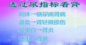 《健康之路》20140115视频和笔记:刘文虎讲肾损伤,酮体,潜血,肌酐