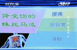 《健康之路》20140116视频和笔记:刘文虎讲肾损伤,腰痛,肾病,尿异常