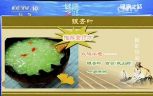 《健康之路》20140118视频和笔记:张冰讲银杏叶,桑叶的功效,桑菊饮,风热感冒