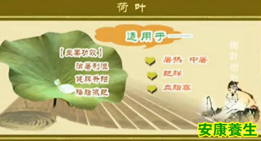 荷叶的功效