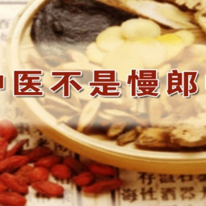 《养生堂》20140121视频和笔记:钟孟良讲发烧的分类,阴虚的表现,钟利群讲葱白汤,甲鱼百合汤