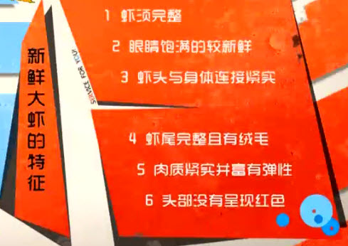 如何选购鲜虾