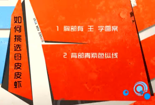 如何选购鲜虾
