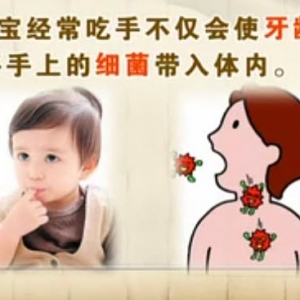饮食养生汇20140122视频和笔记:崔玉涛讲小儿口腔护理,安抚奶嘴