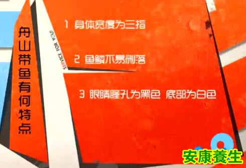 舟山带鱼的特点