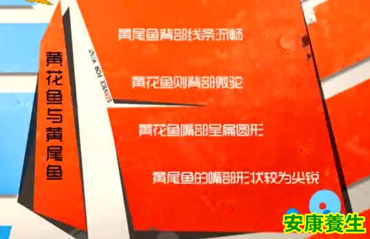 舟山带鱼