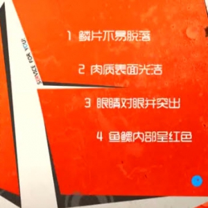 家政女皇20140123视频和笔记:姜波讲嘎鱼,鳎目鱼,鲅鱼,锅贴鳎目鱼,红烧带鱼的制作方法
