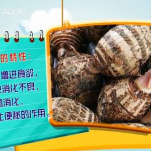 健康有道20140124视频和笔记:王国宝讲消化不良,芋头的功效,素烧芋头,芋头羹