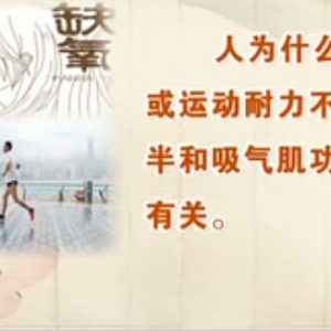 饮食养生汇20140127视频和笔记:励建安讲呼吸系统疾病的康复方法,腹式呼吸,胸式呼吸