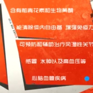 家政女皇20140202视频和笔记新春特辑:自制松针茶,西施黄鱼