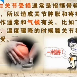 饮食养生汇20140207视频和笔记:赵勇讲老寒腿,咖啡豆烧排骨,预防骨伤(二)