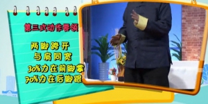 健康有道20140211视频和笔记:马世琦讲《站出健康-形意站桩养生法》,泥丸宫
