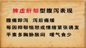《养生堂》20140213视频和笔记:刘汶讲脾虚肝郁,泄泻的原因,脾胃虚弱的千古名方和食疗方