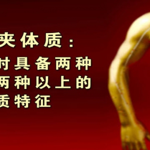 《养生堂》20140216视频和笔记:王琦讲《辨清“体质”求安康-1》,兼夹体质,痰湿体质