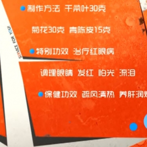 家政女皇20140219视频和笔记:陈允斌讲突发性耳鸣,鼻炎,口腔溃疡,桑菊明目饮,芹菜陈皮  ...