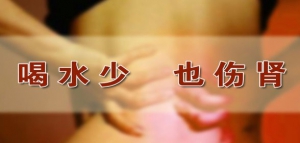 《养生堂》20140221视频和笔记:张胜容讲补肾延缓衰老,喝水太少会伤肾,桑螵蛸散,尿频