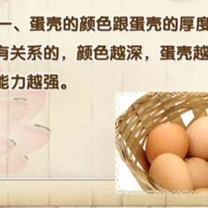 饮食养生汇20140221视频和笔记:范志红讲挑鸡蛋的窍门,鸡蛋豆腐饼