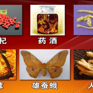 《养生堂》20140222视频和笔记:张胜容讲补肾的作用,补肾调养秘方,补肾的误区