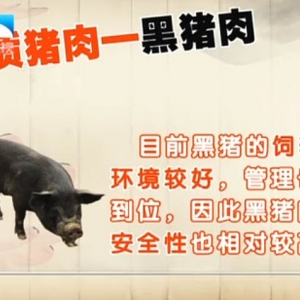 饮食养生汇20140224视频和笔记:范志红讲黑猪肉,红肉和白肉的脂肪对比,蚝油烧鸡块,排酸 ...