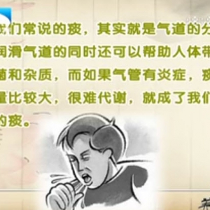饮食养生汇20140226视频和笔记:王琦讲《清肺排痰保健康》,拍痰的顺序,红酒山楂雪梨