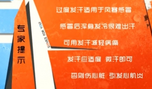 家政女皇20140227视频和笔记:陈允斌讲感冒的误区,风寒感冒,风热感冒,肠胃型感冒,气虚  ...