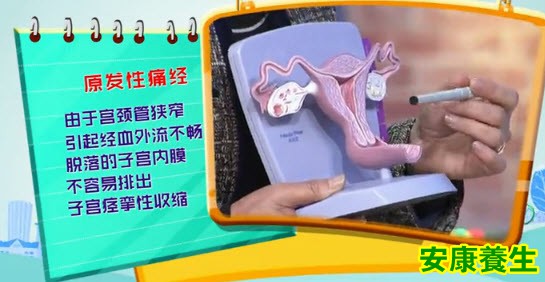 痛经的类型