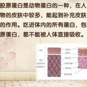 饮食养生汇20140304视频:于仁文讲《胶原蛋白的美丽陷阱》,富含胶原蛋白的食物,猪蹄汤