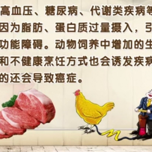 饮食养生汇20140307视频和笔记:何裕民讲《膏粱厚味惹的祸》,不健康饮食,豆芽煮鸡丝