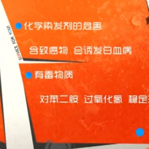 家政女皇20140311视频和笔记:陈允斌讲《怎样染发不伤身》,鉴别染发剂,黄金碧玉饼