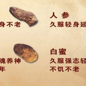 《养生堂》20140312视频和笔记:倪诚讲琼玉膏的功效,特异症的表现,琼玉益寿饮配伍