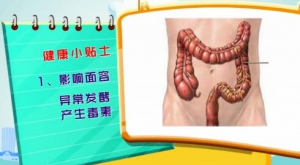 健康有道20140312视频笔记:戴光强讲《女性便秘须重视》,便秘的危害,大肠癌,结肠癌