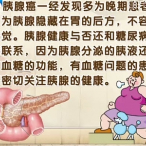 饮食养生汇20140312视频:栗光明讲《胰样的肿瘤》胰腺癌,胰漏腺内分泌肿瘤,胰腺炎