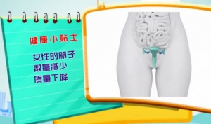 健康有道20140313视频笔记:杨冬梓讲《提升孕力有妙招》,不孕不育,中心性肥胖