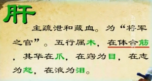 《健康之路》20140313视频和笔记:高思华讲五脏调和百病消（一）肝不和,牡丹花,疏肝饮