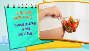 健康有道20140314视频:张建平讲《告别孕期保健误区》孕早期,孕中期,孕晚期,流产