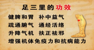《养生堂》20140315视频和笔记:赵吉平讲《巧选健康穴-2》下合穴,足三里,上巨虚,下巨虚