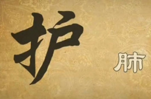 《健康之路》20140316:高思华讲五脏调和百病消（四）肺不和,沙参老鸭汤,参麦护肺饮