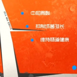 家政女皇20140318视频笔记:张晔讲辣白菜的功效,辣椒酱的制作,辣白菜炒饭