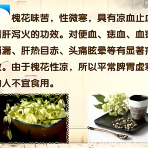 饮食养生汇20140318视频笔记:吴大真讲花卉养生,槐花的作用,清肝泻火,凉血止血
