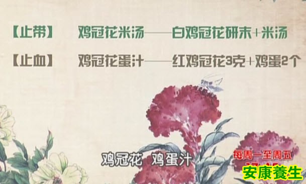 鸡冠花