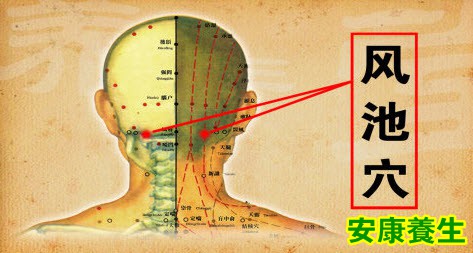 迎香穴、百会穴、风池穴