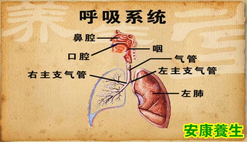 烟民是得肺癌的高危人群