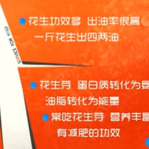 家政女皇20140325视频:陈允斌讲花生的功效、花生芽、椒香花生芽、麦芽