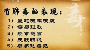 《健康之路》20140327视频:奚肇庆讲排毒一身轻(四),肺毒的表现,桔梗甘草茶,呬字诀,桑杏汤