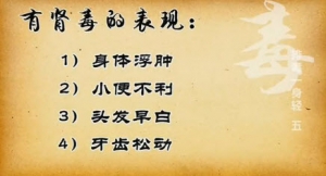《健康之路》20140328视频:奚肇庆讲《排毒一身轻(五)》肾毒,吹字诀,五子汤,参杞豆衣茶
