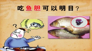《养生堂》20140329视频:郭应禄,张 骞讲通调人体的黄金水道1,肾衰竭,肾癌,鱼胆,肾结石