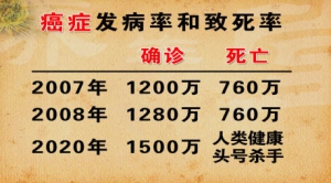 《养生堂》20140401视频:林洪生,董倩讲《与肿瘤的相处之道-1》肿瘤,癌症,雾霾,慢性病
