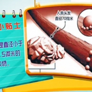 健康有道20140401视频:戴光强讲《关注PM2.5(一)》肺泡的作用,雾霾,晨练,咳嗽